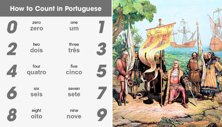 Learn How to Count in Portuguese Numbers