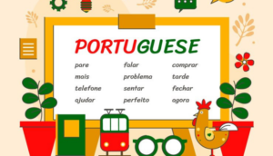 Portuguese Language for Beginners